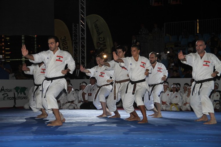 Martial Arts Festival